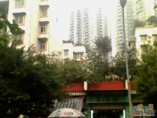 佣金3666元 区府 月光村(大渡口)二房26万