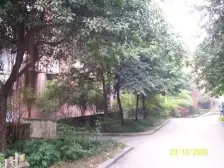 钢花苑 2室1厅 南