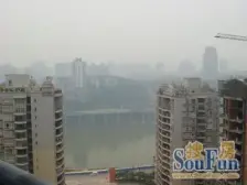 一线江景无遮挡 全落地窗 有屋顶花园 至少做5房