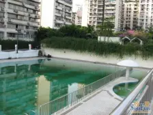 大石坝 川东明珠二房85万