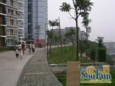 南桥寺 香逸半山三房90万