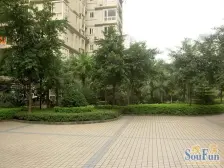 观音桥九街海洋之星正规四房诚心出售价格可以谈