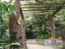 花卉园 遂州大厦四房150万