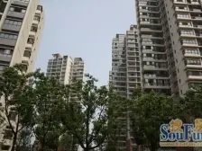 钟南花苑 中间位置 通透两房 视野好