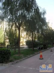 中轴路 地铁大红门站 建欣苑三里 无遮挡 精装修