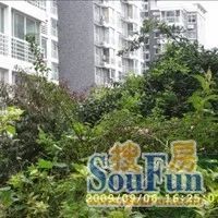 优点社区3室1厅南北
