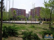 新增好房!温馨格调精装修4居室八十多W的装修