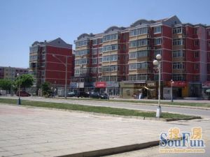 双桥中路10号北院 2室1厅 南 北