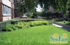 丰融园3室2厅南北