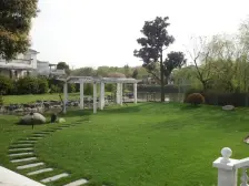 莘闵别墅标杆小区 高品质 纯独栋社区 环境好 绿化高