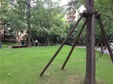 两江四岸标杆楼盘 精装看江 龙湖物业