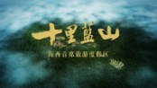漳州十里蓝山项目宣传片