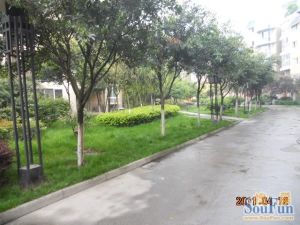 柳城华厦3室1厅东南