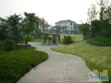 金科公园王府 2室2厅 南