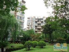 莘庄·柏林春天一期·2室·2厅