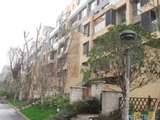 洋房带露台和屋顶花园,正看龙洲湾公园,视野好环境好