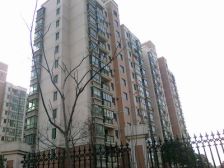 一楼带50平大院子,小区稀缺户型,性价比超高