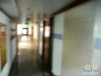 �����������--��������
