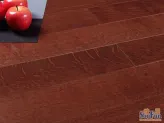 �ĺϵذ���ľ�����ݣ�ӣ��ɫ����ʵľ���ϵذ�