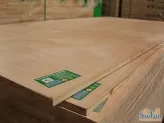 ����1.8E1ϸľ������ɼľ