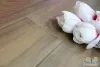 ʥ����F4��ϵ��F4-S041ǿ���ذ�