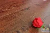 ʥ����F4��ϵ��F4-S132ǿ���ذ�