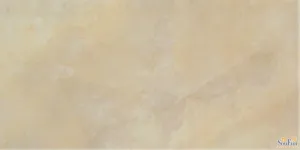 ���������xDJQ018��ש