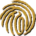 ���ռҾ�