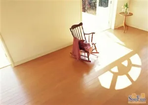 ���η�Ъ��GFD04-2����
