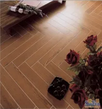 ������˹ľ��ϵ�е�������ש