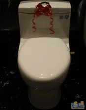 ��˹��SA-1250������