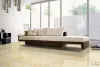������˹��ʢ���������ص�������ש