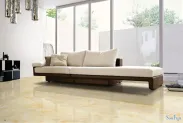 ������˹��ʢ���������ص�������ש