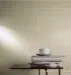 ������˹ɰ��ϵ�е�������ש
