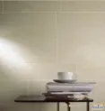 ������˹ɰ��ϵ�е�������ש