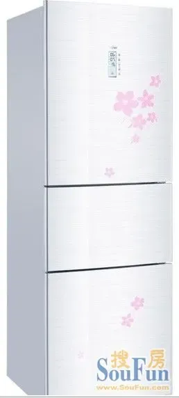 ��������BCD-268WBCSͼ2