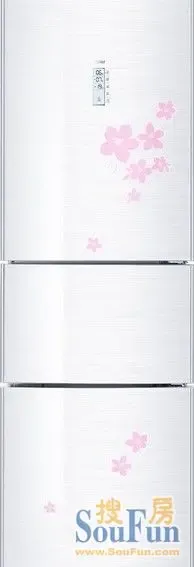 ��������BCD-268WBCS