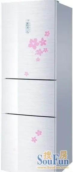 ��������BCD-268WBCSͼ3