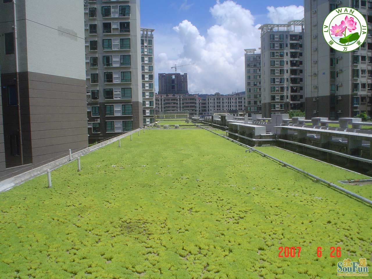 珠海五洲花城屋顶隔热绿化-现代简约-复式