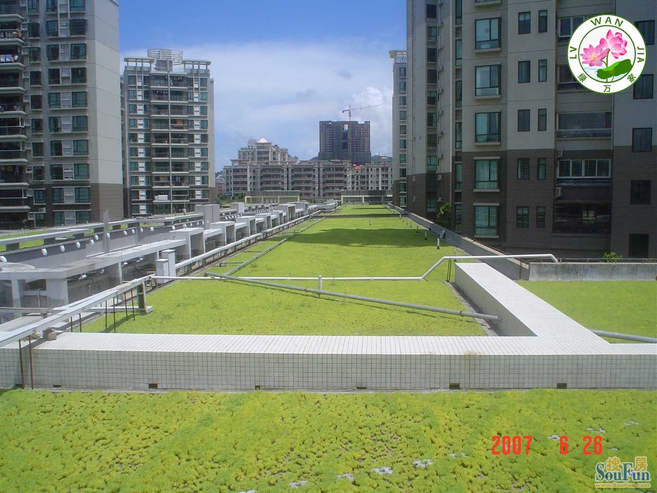 珠海五洲花城屋顶隔热绿化-现代简约-复式