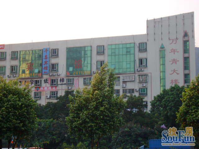 深圳万年青大厦小区 二手房 租房 深圳房天下 深圳万年青大厦小区 二手房 租房 深圳房天下