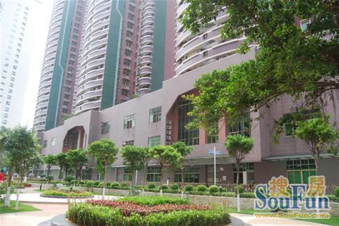 东莞七宝一居怎么样周边配套设施及房价走势