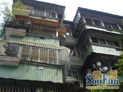 莱克茜·贝尔图片