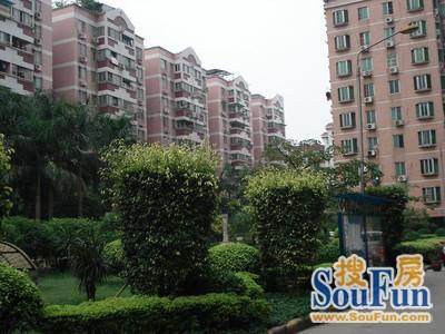 广州晓港湾惠侨苑怎么样观察房价走势找楼盘地址