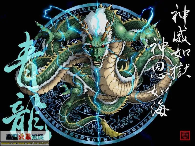 青龙~~白虎~~朱雀~`玄武