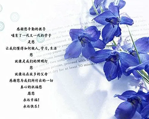 【桃李芬芳 感念师恩】"看这排站得,流直一道弯儿"细数老师经典的