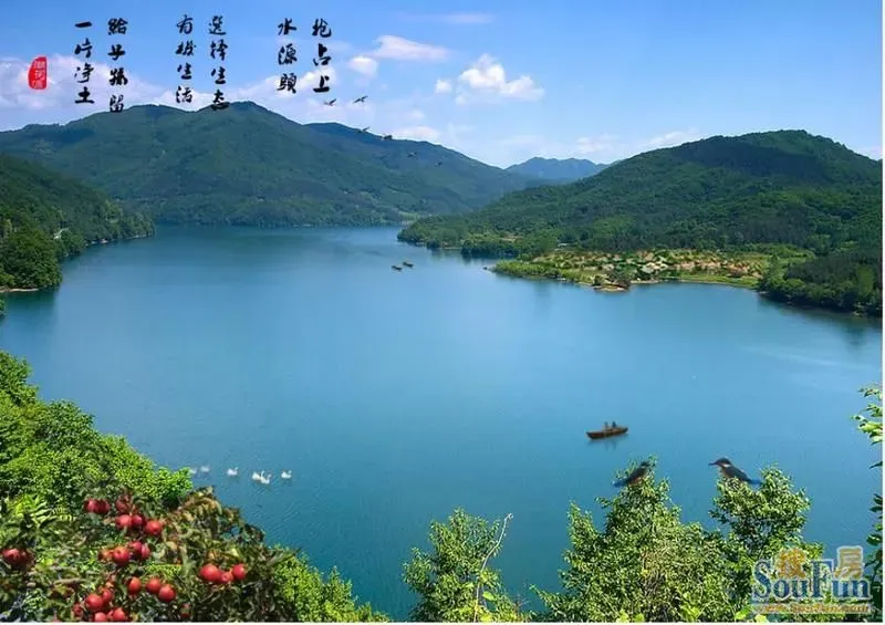 钓鱼台山庄业主论坛- 北京房天下