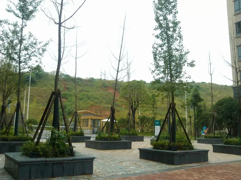 长沙保利花园东门口绿化