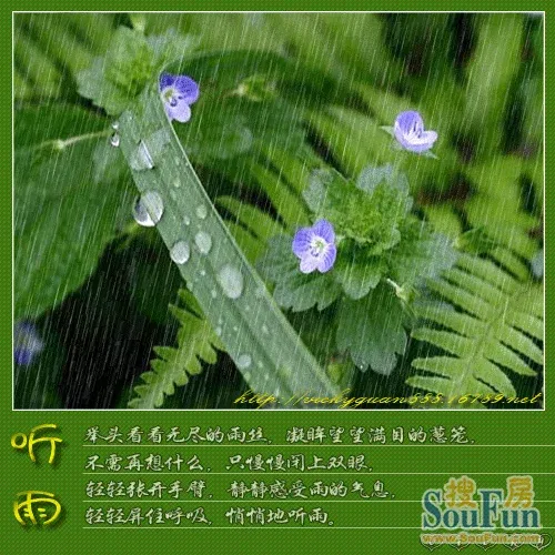 心情不好时进来*听雨*吧