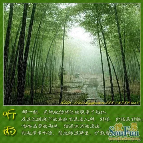 心情不好时进来*听雨*吧